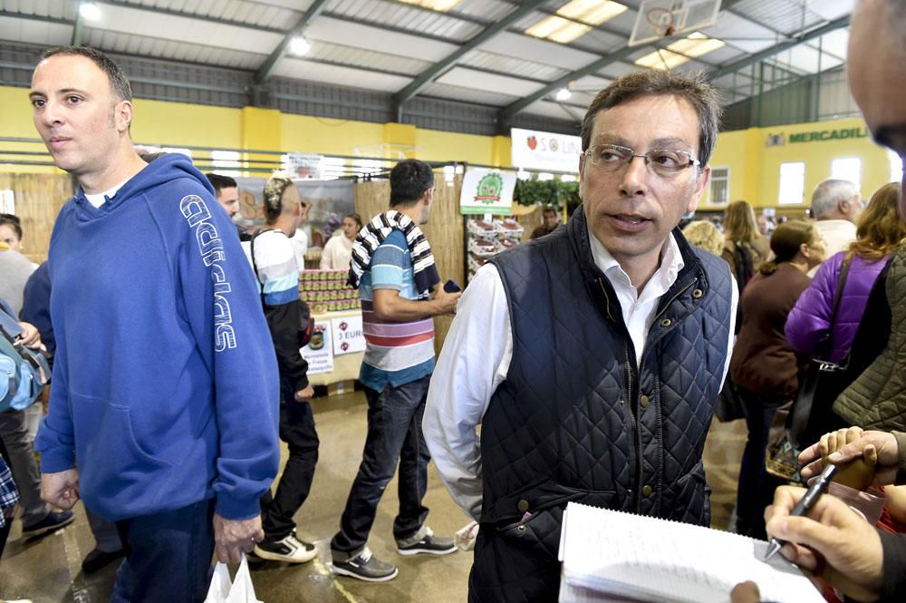 Feria de la fresa de Valsequillo, 2017