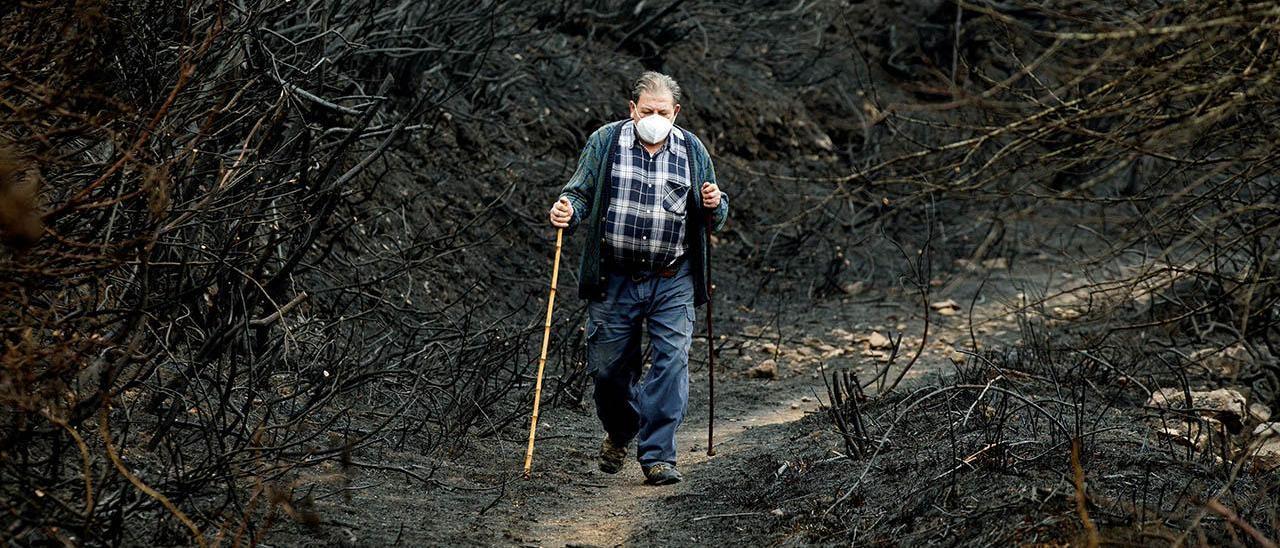 Un vecino de A Portela, en Ourense, pasea por el monte quemado el pasado mes de abril, tras el primer incendio de grandes dimensiones registrado en Galicia este año