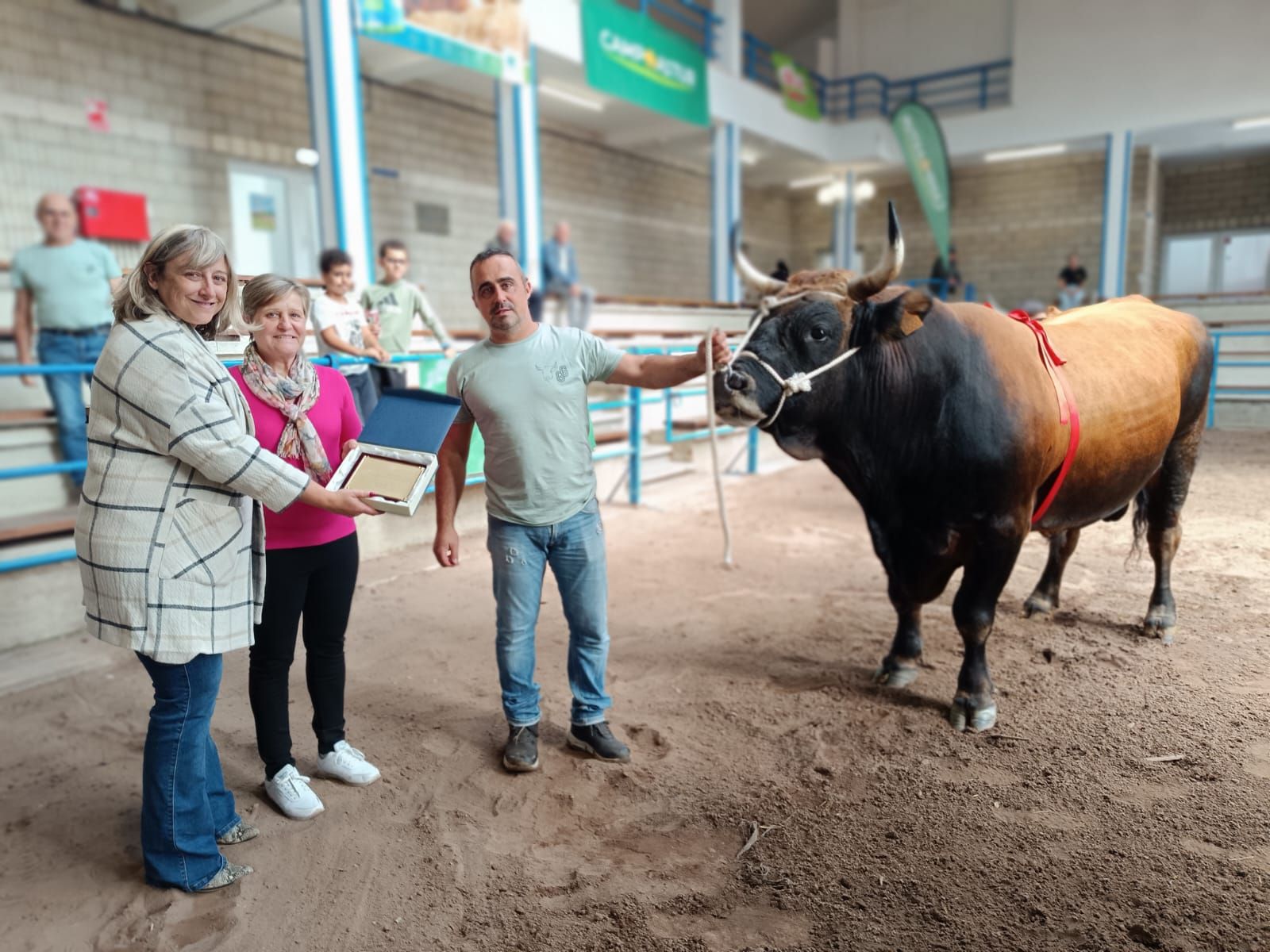 En imágenes: los premiados en la Muestra ganadera local de Cangas del Narcea