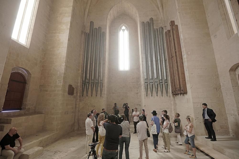 Visita guiada a las terrazas de la Seu