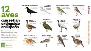 Estas son las aves que se han extinguido en España en los últimos 500 años
