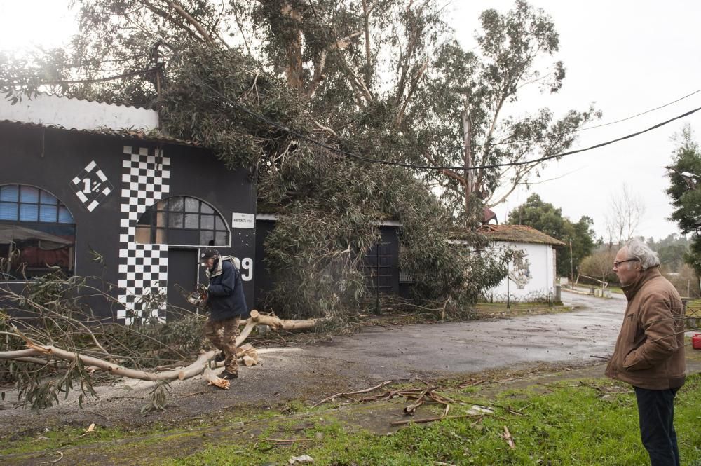 El temporal sacude Ourense