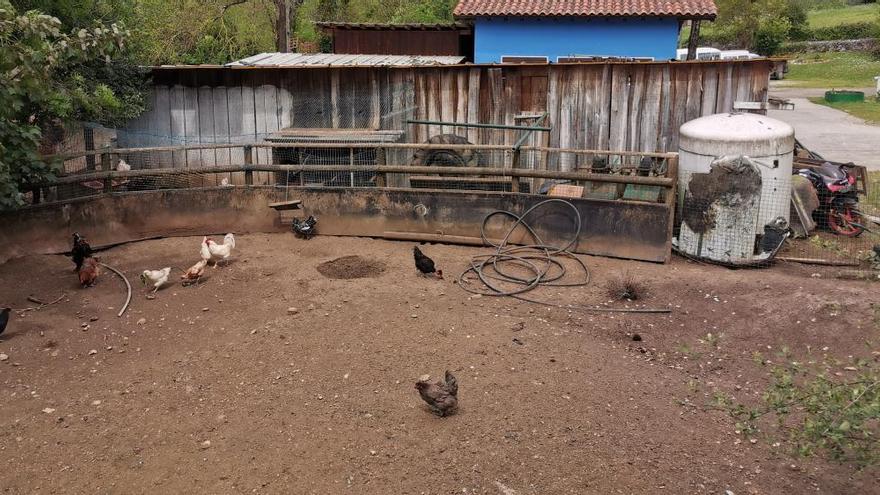 El dueño de un hotel rural denuncia al pastor Nel Cañedo por las amenazas que vertió en un vídeo viral