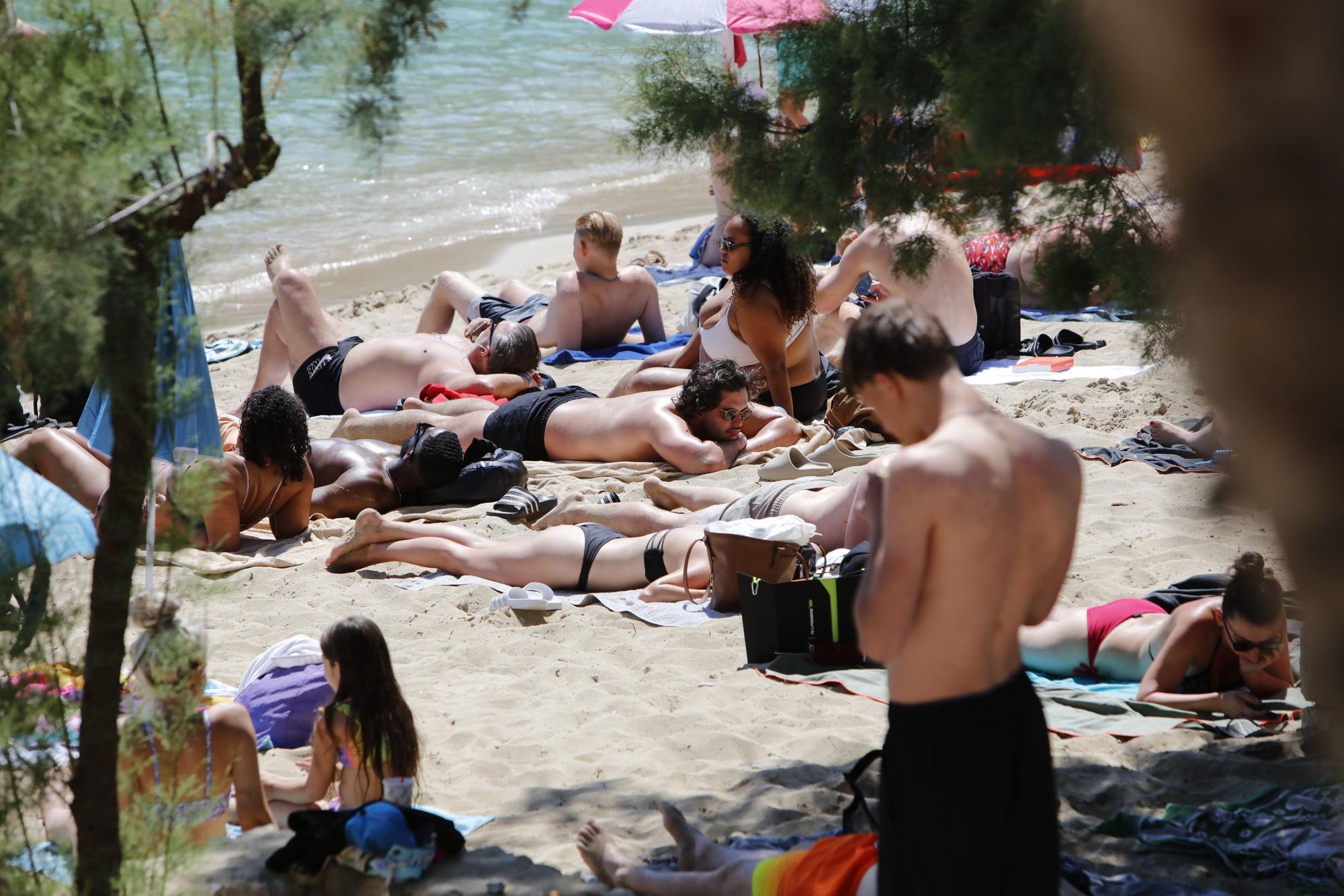 Überfüllte Traumbucht auf Mallorca: So sieht Cala Gat bei Cala Ratjada Anfang Juni aus