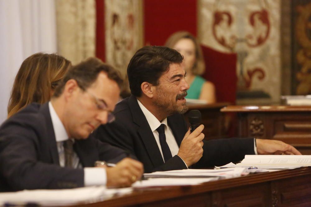 Pleno en el Ayuntamiento de Alicante