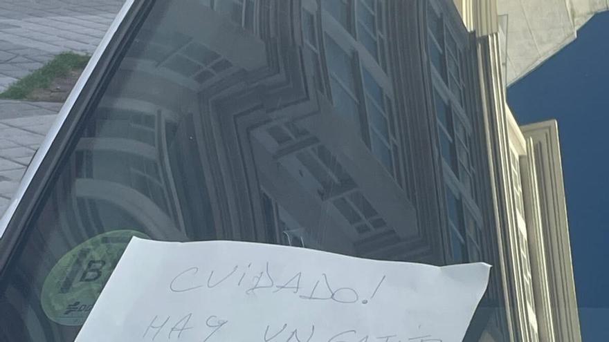 "Cuidado, hay un gatito dentro del motor": el sorprendente cartel en un coche de A Coruña