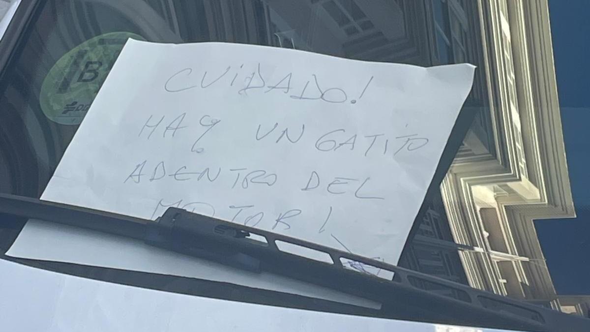 "Cuidado, hay un gatito dentro del motor": el sorprendente cartel en un coche de A Coruña