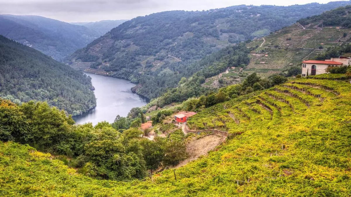 La excursión más bonita de España en verano es una ruta por los barrancos de un río con pasarelas, miradores y viñedos verticales