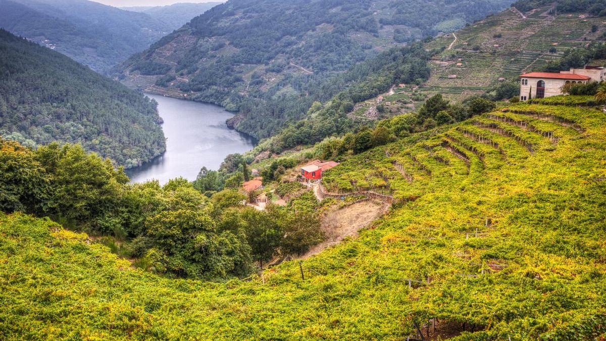 La excursión más bonita de España en verano es una ruta por los barrancos de un río con pasarelas, miradores y viñedos verticales