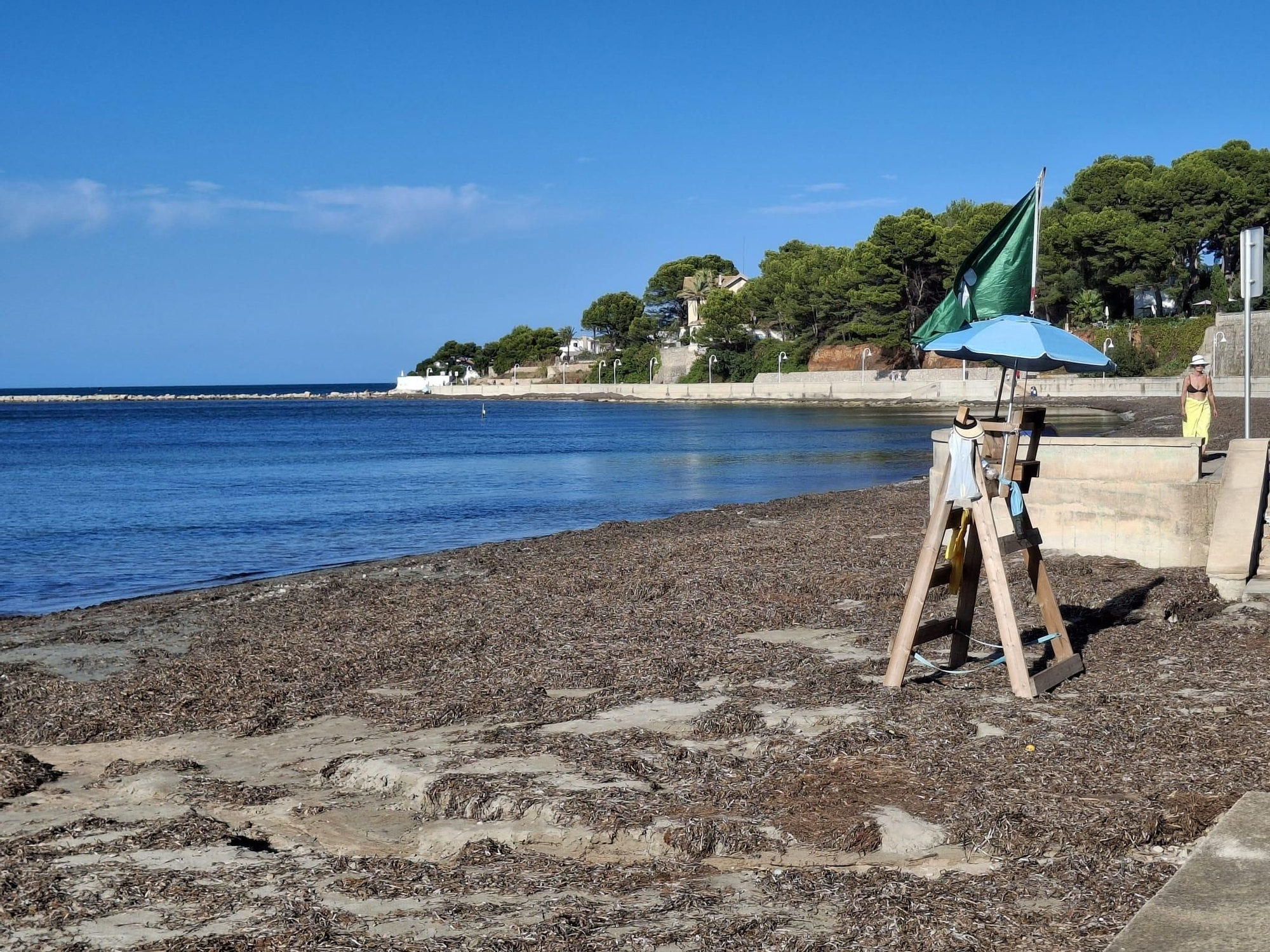 ¡Esto es vida!: manto de posidonia, aguas cristalinas y paz absoluta en la Marineta Cassiana de Dénia