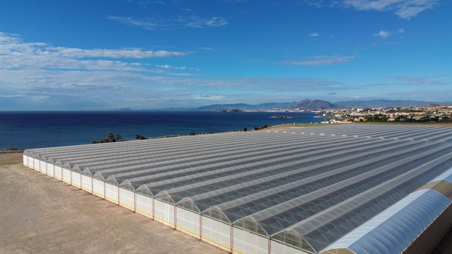 Bonnysa invierte 10 millones en unos nuevos invernaderos de última generación en Murcia