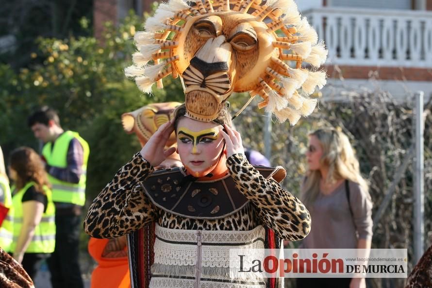 Desfile de Carnaval en Puente Tocinos (25-2-2017)