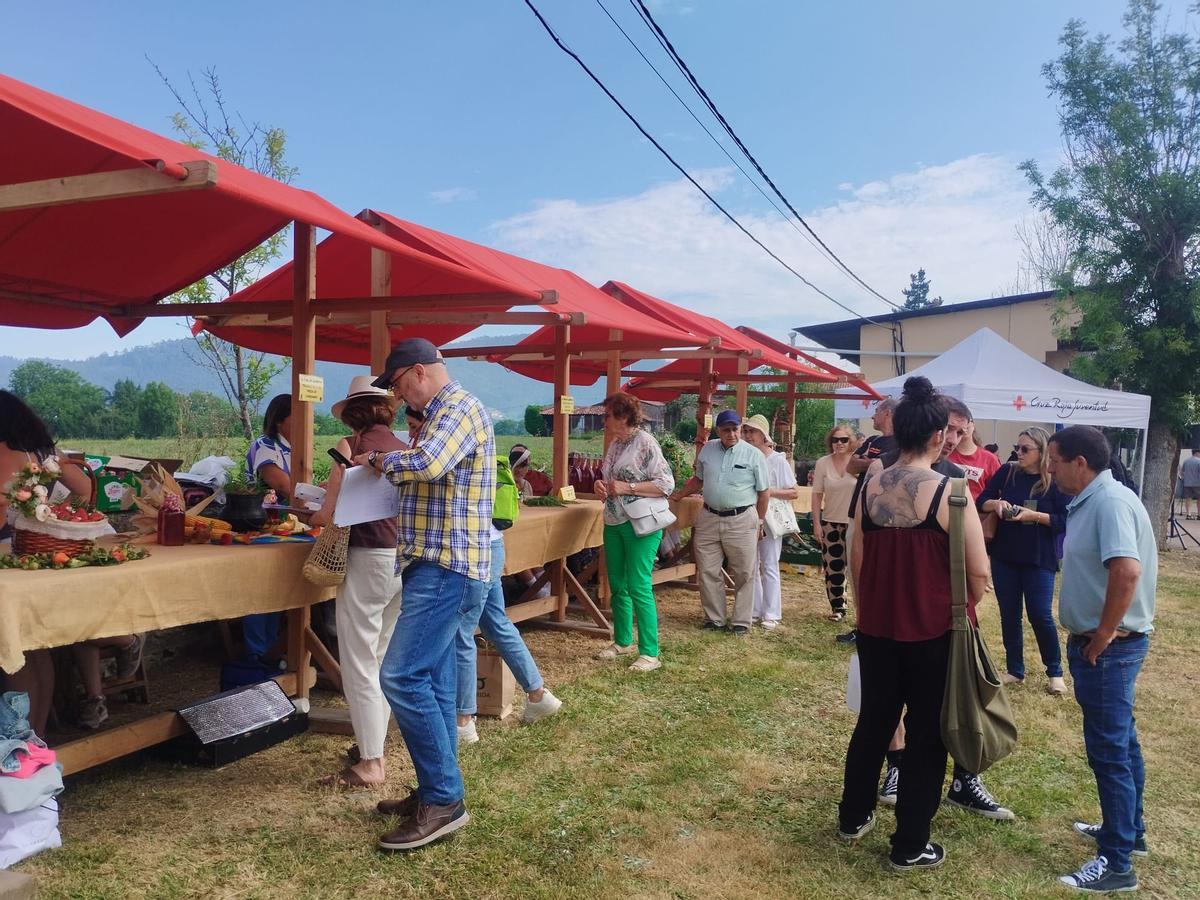 El Festival de la Fresa de Candamo, en imágenes