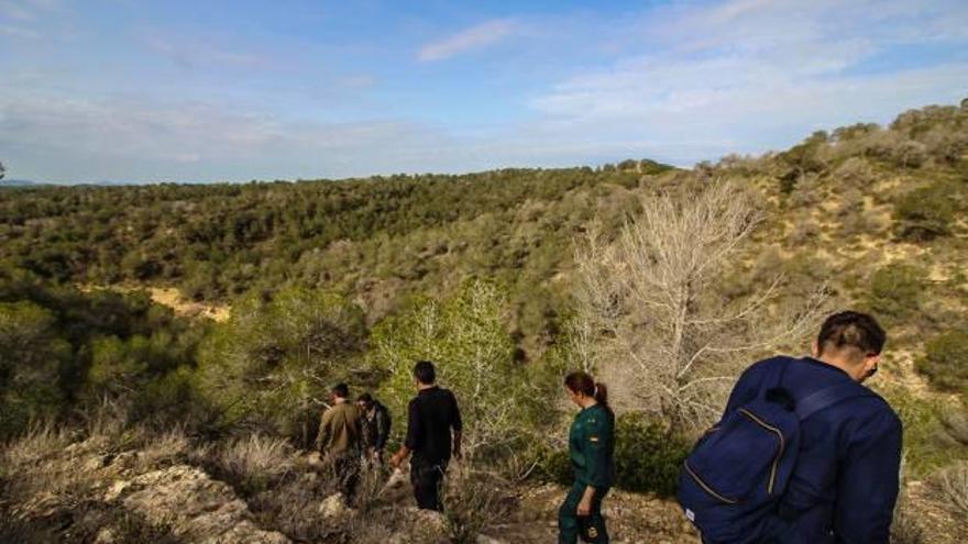 Una imagen del entorno de Sierra Escalona, que supone uno de los principales pulmones verdes de la comarca de la Vega Baja.