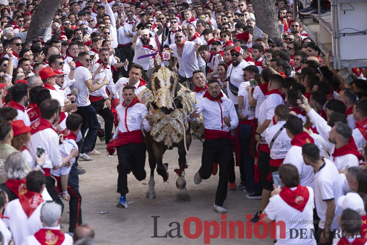 Así se ha vivido la carrera de Los Caballos del Vino en Caravaca