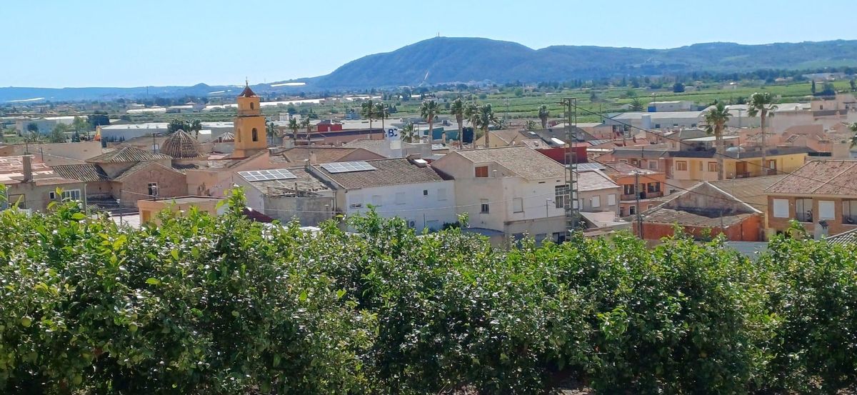 Pedanía oriolana de La Aparecida