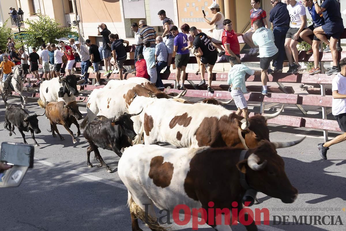 Séptimo encierro de las Fiestas de Moratalla