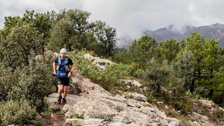 La Marató dels Dements, mejor carrera no ultra