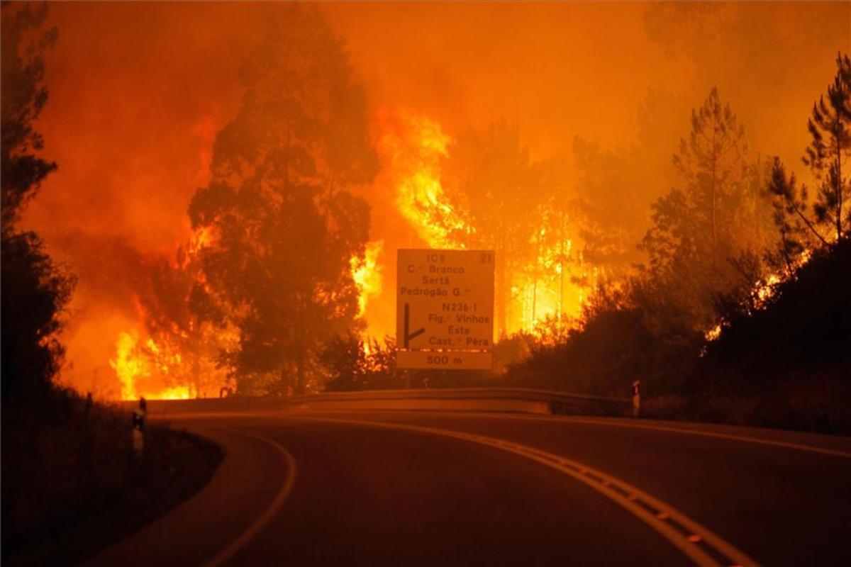 Imagen del trágico incendio en el centro de Portugal.