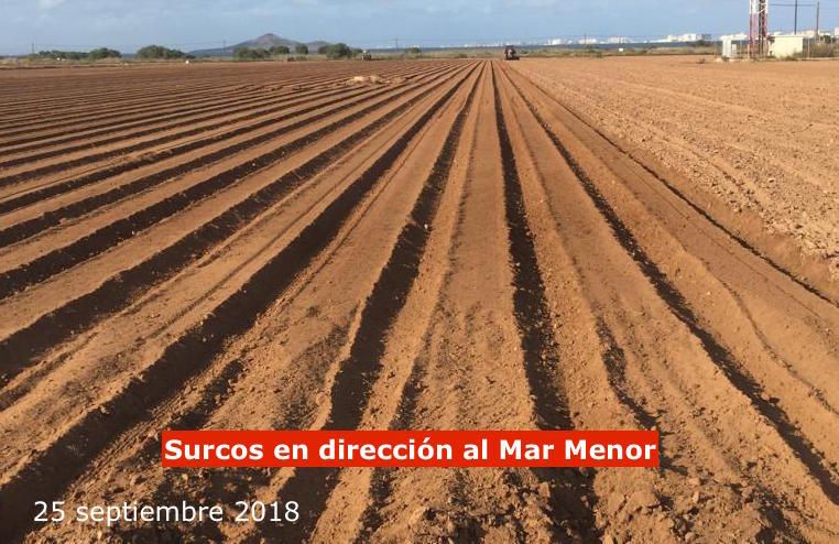 "Se sigue sin cumplir la ley de sostenibilidad del Mar Menor"