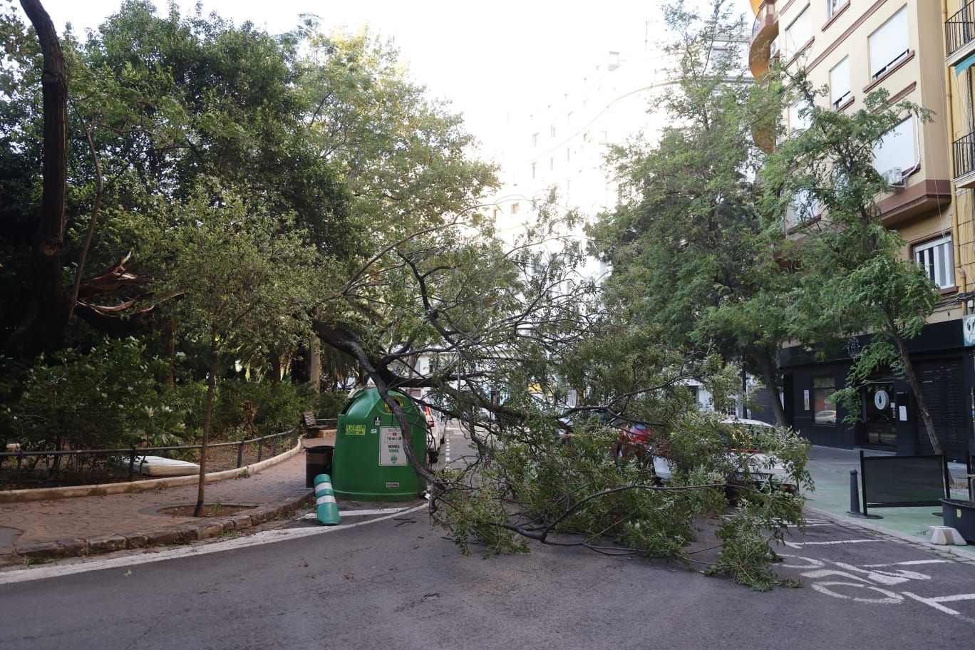 El granizo y las trombas de agua tumbas árboles y destrozan placas solares