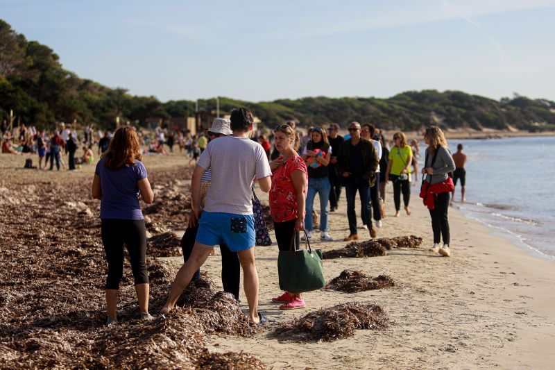 Primer baño del año. Ses Salines.