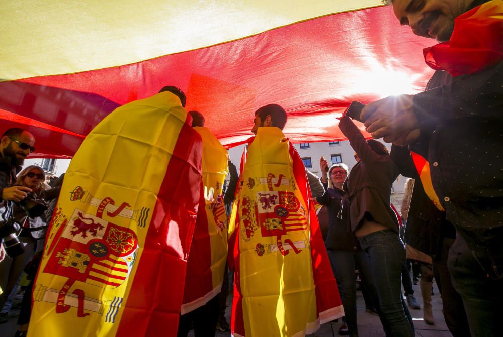 Manifestación en Alicante contra el gobierno de Pedro Sánchez