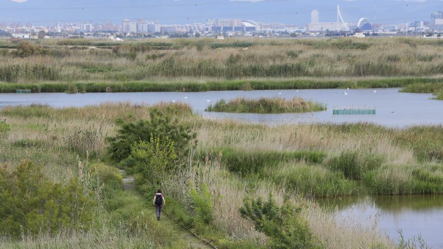 SECRETO ALBUFERA: El tancat de la Pipa