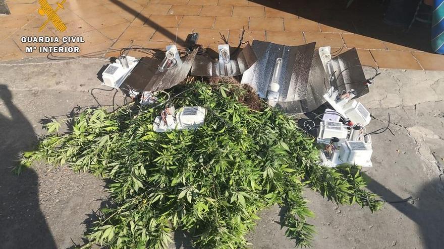 Desmanteladas cuatro plantaciones de marihuana en el barrio de los Mochos de Almodóvar del Río