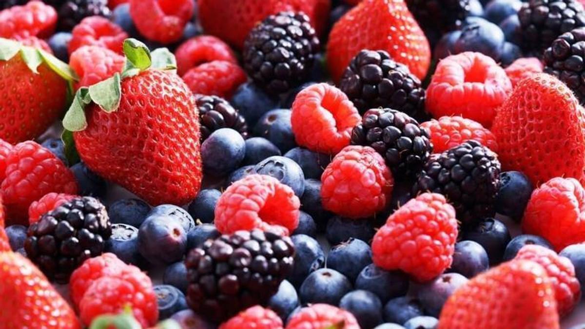 La fruta clave para proteger el cerebro, según el cardiólogo Aurelio Rojas
