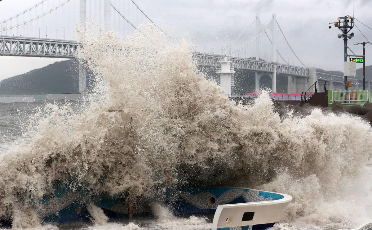 Olas gigantes llegan a las costas de Busan, en Corea del Sur.