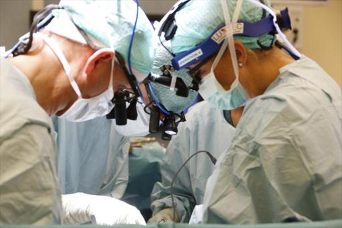 El trasplante de útero ya ha permitido 4 nacimientos El Periódico