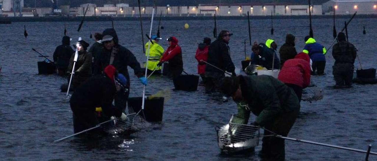 Foto de archivo de mariscadoras de Carril faenando a primera hora de la mañana en la playa de A Concha-Compostela. // Noé Parga