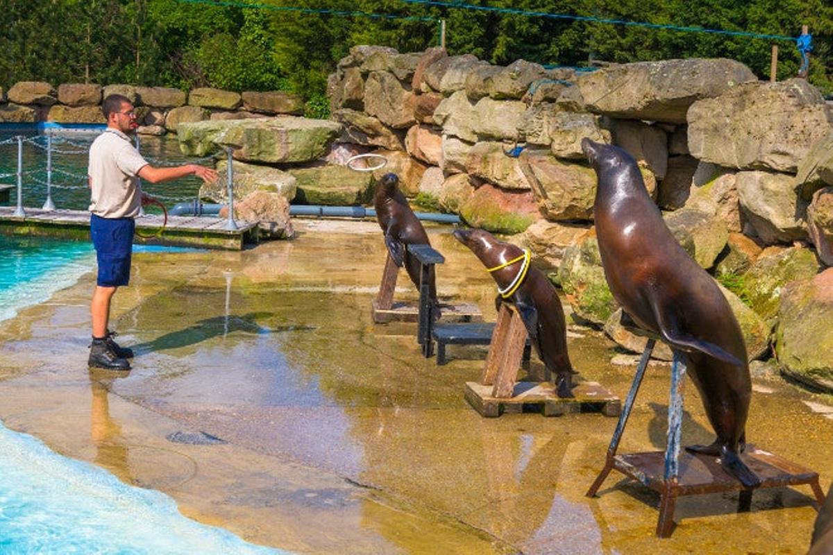 Zoológico de Londres (Inglaterra)