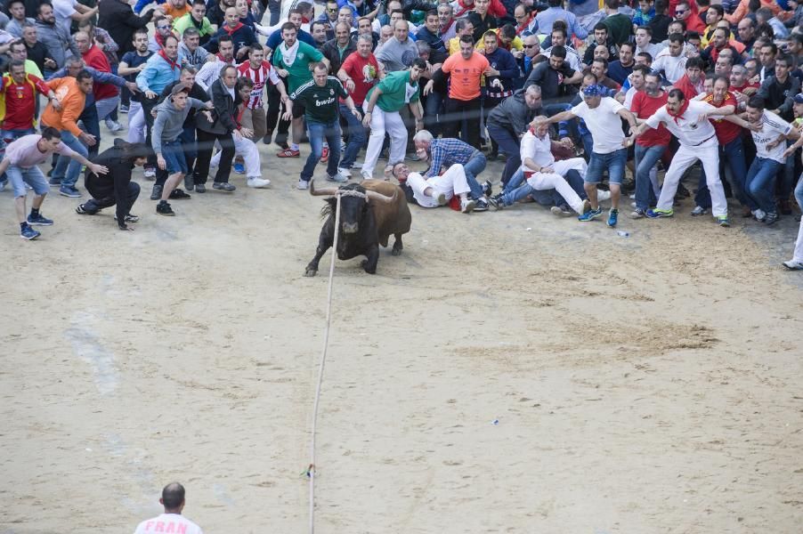 Enmaromado 2016: Lechugazo da la talla