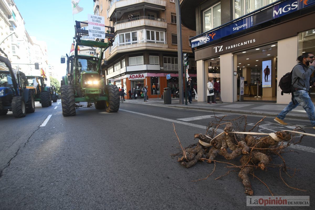 Miles de agricultores y ganaderos toman las calles de Murcia