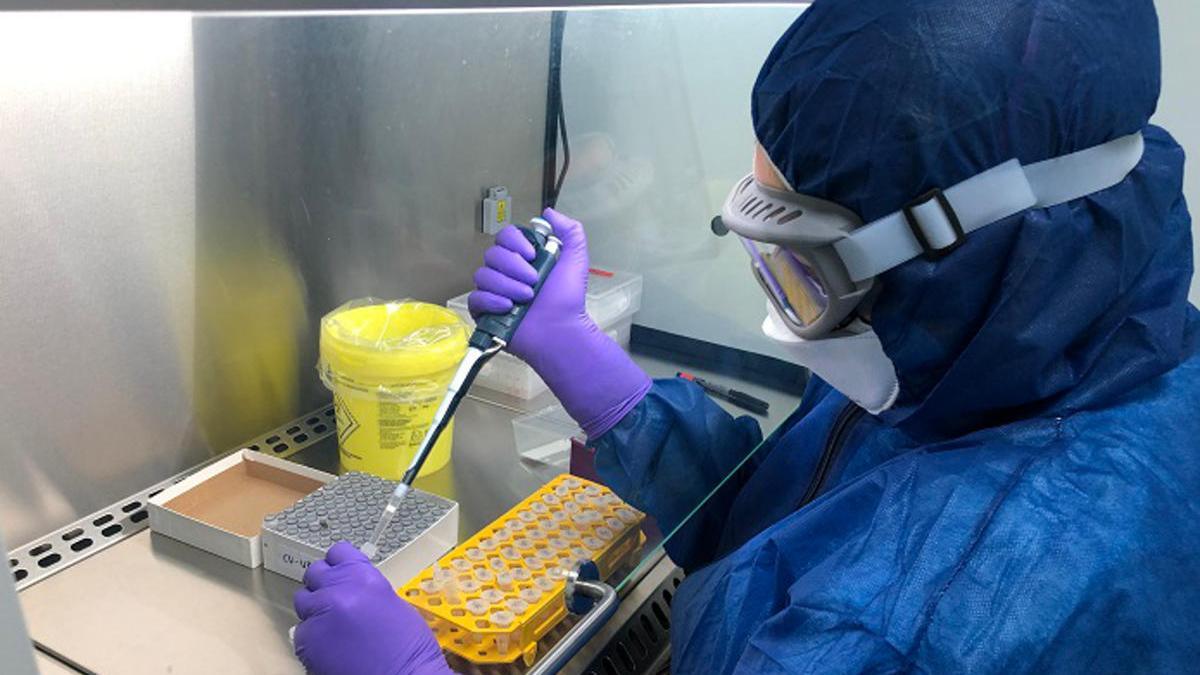 Una treballadora analitzant una mostra de PCR en el laboratori