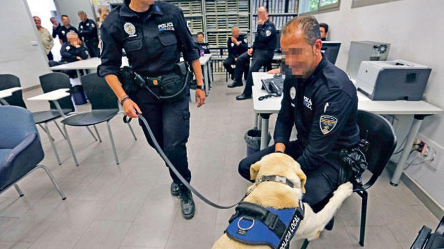 Los perros de la Policía Local de Palma muestran sus habilidades al resto de agentes