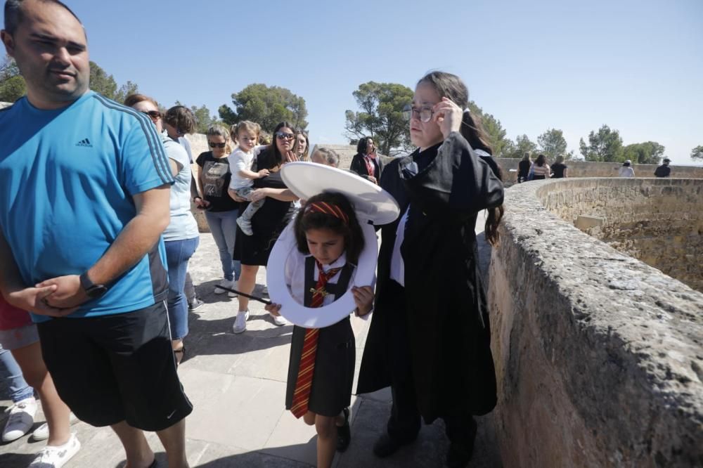 Locura por Harry Potter en Palma