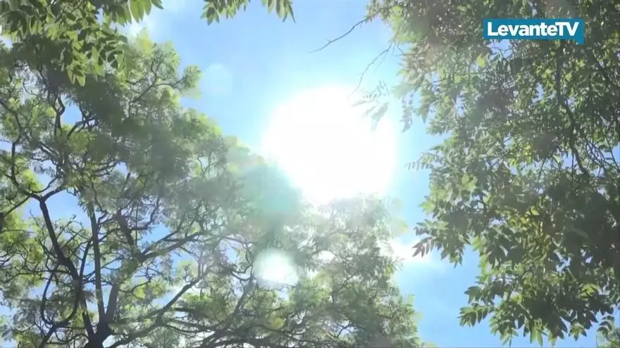 La cuarta ola de calor toma forma este miércoles