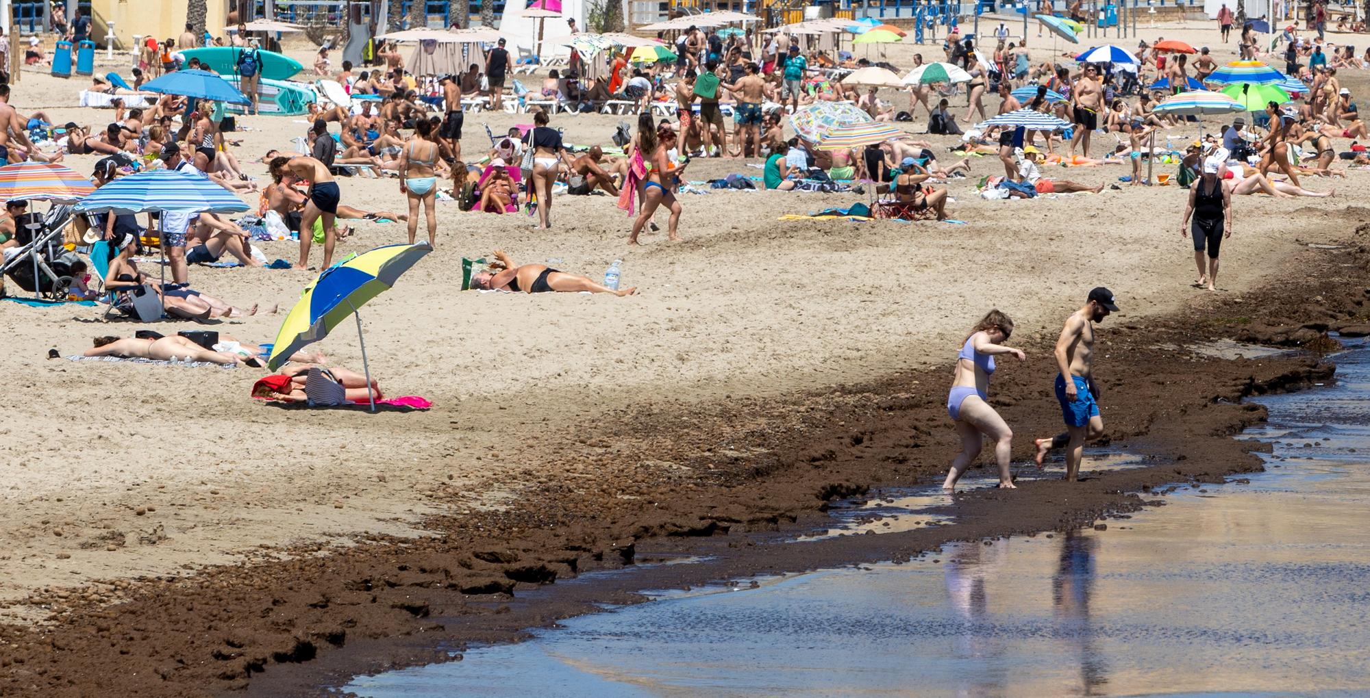 Las Playas de Alicante ya están preparadas para recibir a los turistas