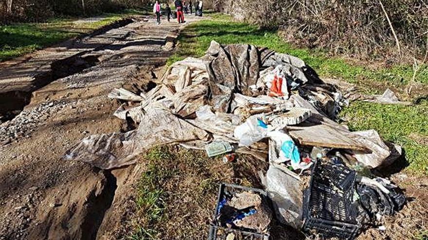 Els voluntaris van netejar la llera del Fluvià d&#039;arbrat i vegetació.