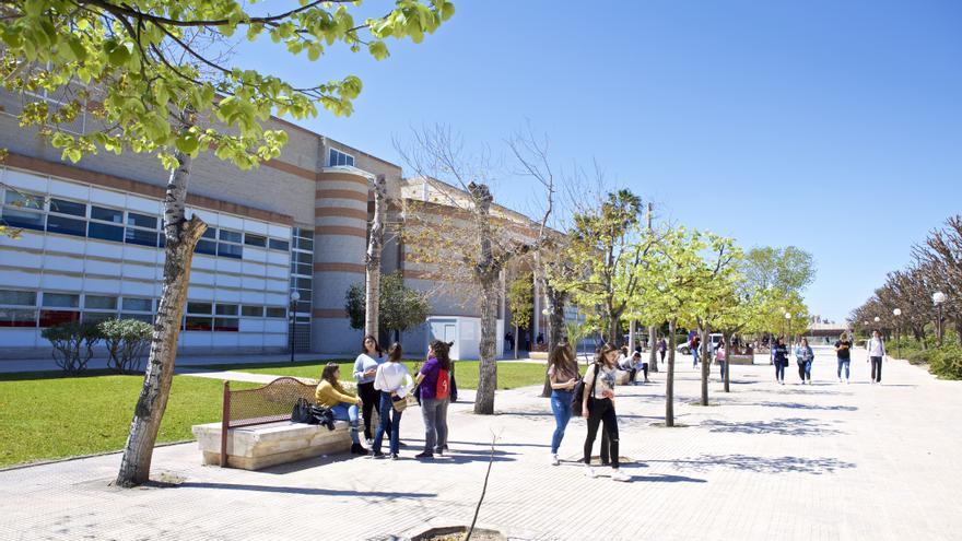 Consulta los detalles de cada uno de los Grados que la Universidad de Alicante oferta para el curso 2023/24