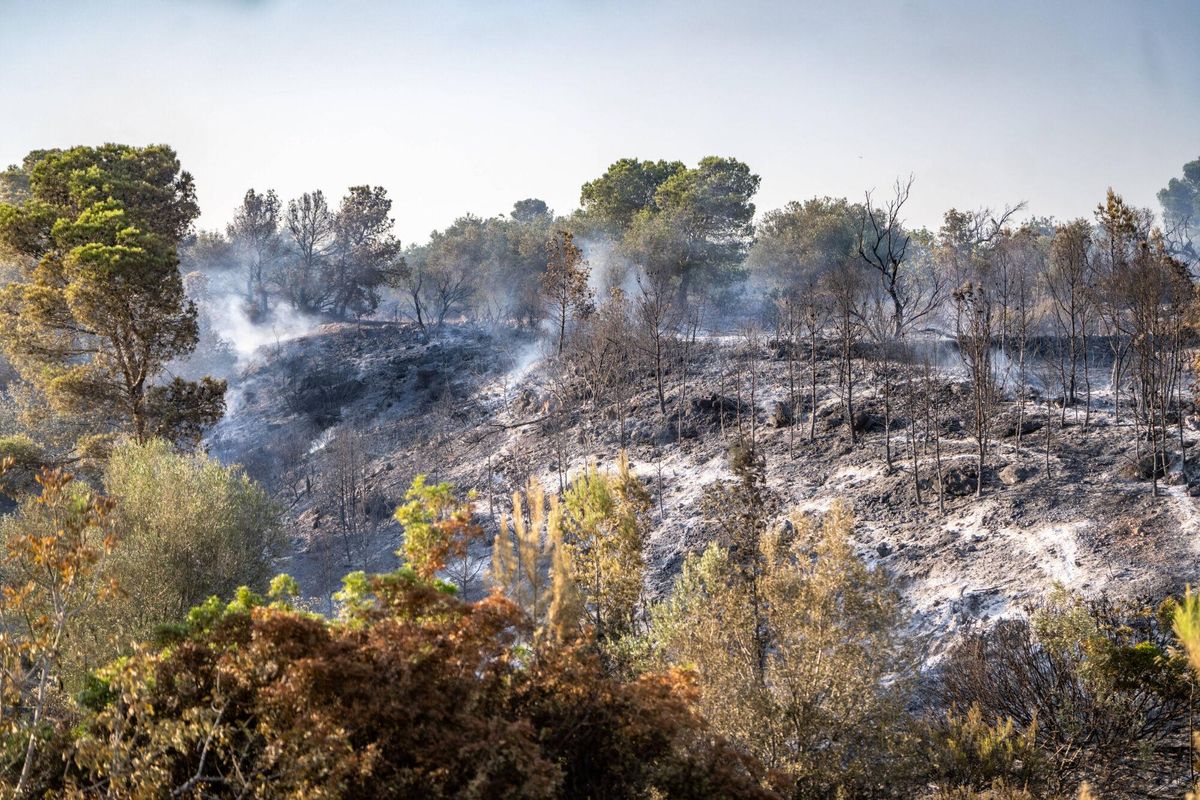 La batalla per contenir les flames al barranc del Llop La batalla per contenir les flames al barranc del Llop