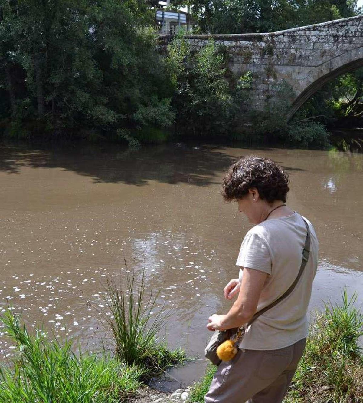 Galende suspende la captación de agua del Tera por las cenizas que porta el río