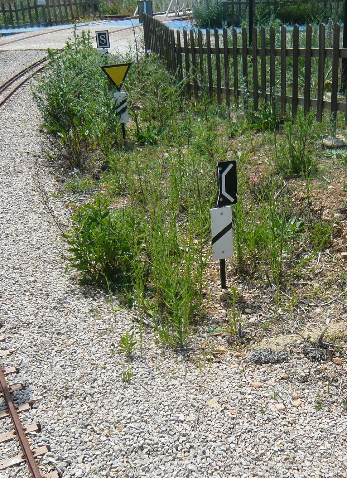 Actos vandálicos contra el museo del parque ferroviario de Marratxí