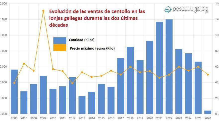 El centollo se mantiene por encima de los 6 millones de euros pese a descender el volumen subastado