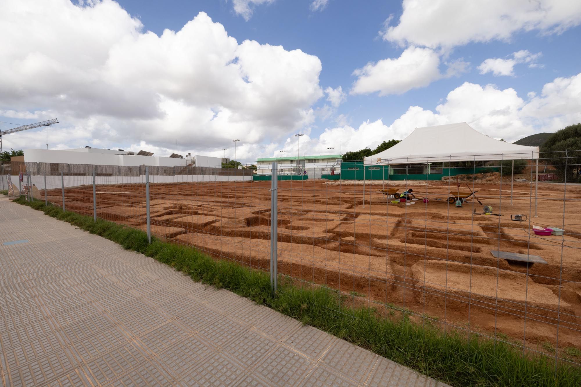 Can Cantó, una zona de cultivo para los púnicos en Ibiza