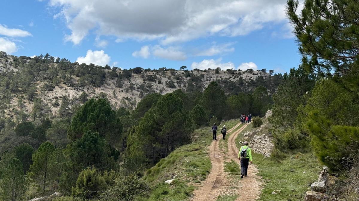 Usuarios de un sendero de la provincia.