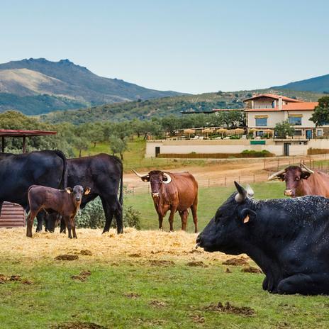 El hotel rural a un paso de Portugal que es el 'place to be' de los amantes de la carne